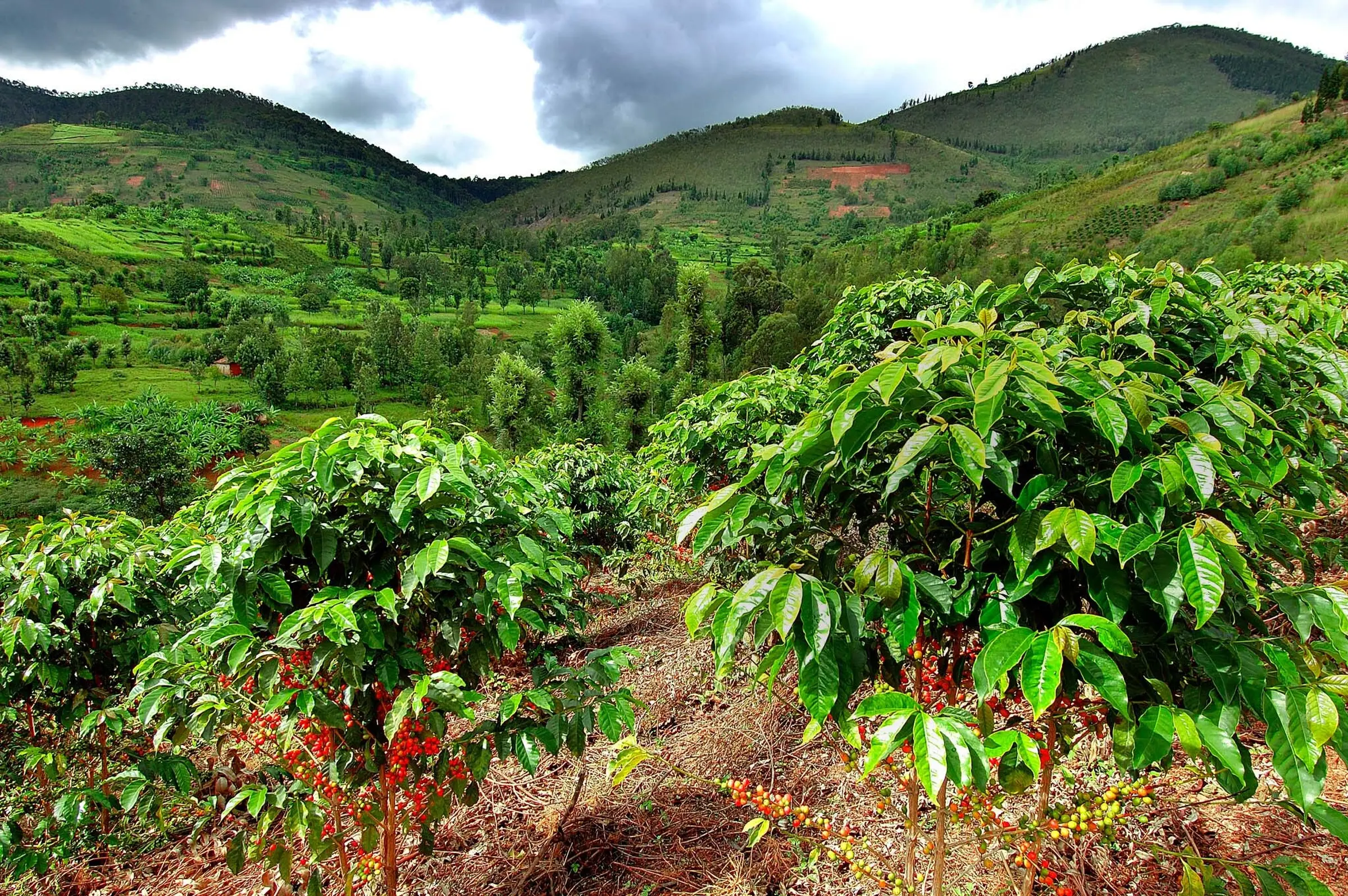 Rwanda